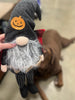 Halloween Gnomes