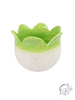 Ceramic Bright Floral Planter