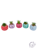 Cement Animal Planter w/ Succulent