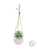 Shaped Hanging Succulent Pot